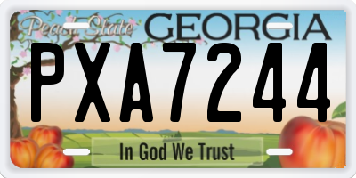 GA license plate PXA7244