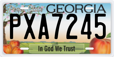 GA license plate PXA7245