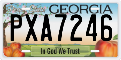 GA license plate PXA7246