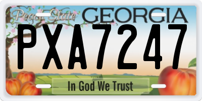 GA license plate PXA7247