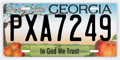 GA license plate PXA7249