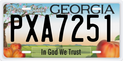 GA license plate PXA7251