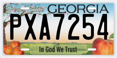 GA license plate PXA7254