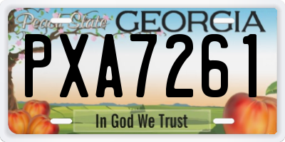 GA license plate PXA7261