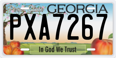 GA license plate PXA7267