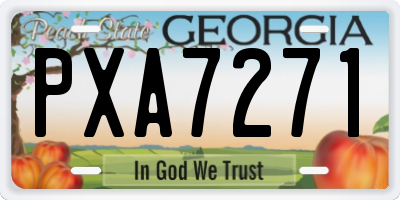 GA license plate PXA7271