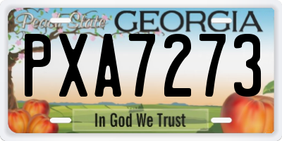 GA license plate PXA7273