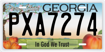 GA license plate PXA7274