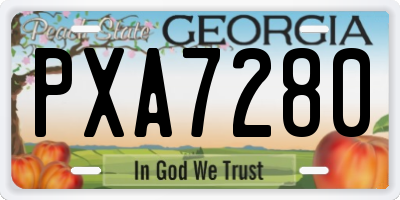 GA license plate PXA7280