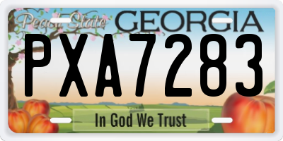 GA license plate PXA7283