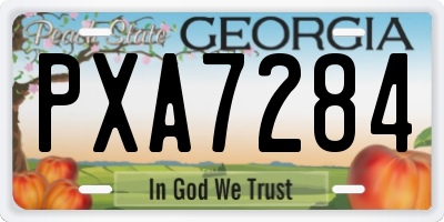 GA license plate PXA7284