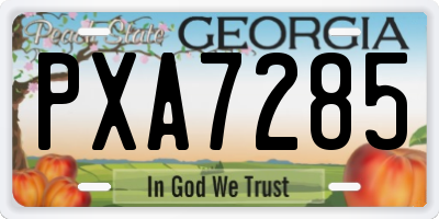 GA license plate PXA7285