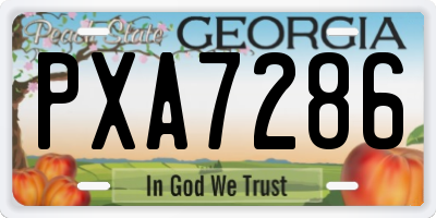 GA license plate PXA7286