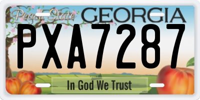 GA license plate PXA7287