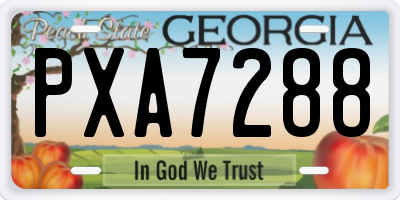 GA license plate PXA7288