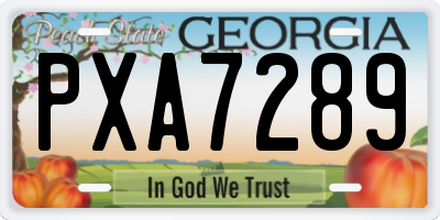 GA license plate PXA7289