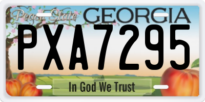 GA license plate PXA7295