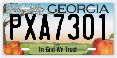 GA license plate PXA7301