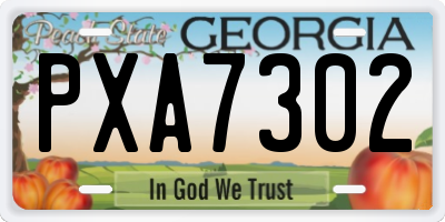 GA license plate PXA7302