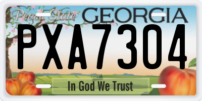 GA license plate PXA7304