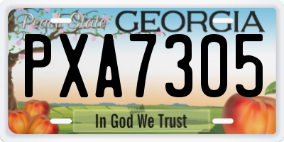 GA license plate PXA7305