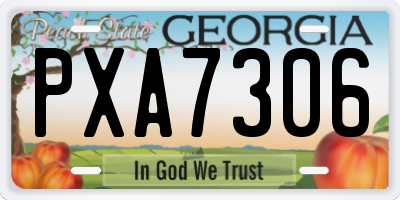 GA license plate PXA7306