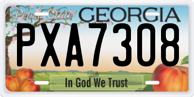 GA license plate PXA7308