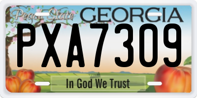 GA license plate PXA7309