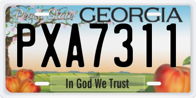 GA license plate PXA7311