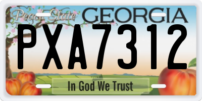 GA license plate PXA7312