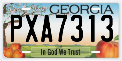 GA license plate PXA7313