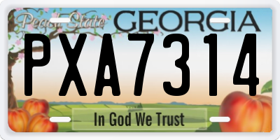 GA license plate PXA7314