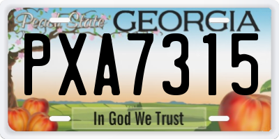 GA license plate PXA7315