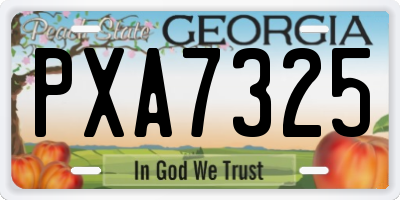 GA license plate PXA7325