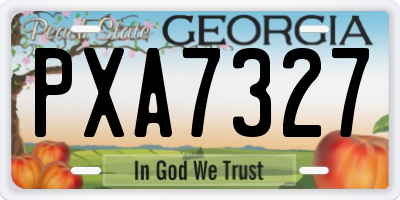 GA license plate PXA7327