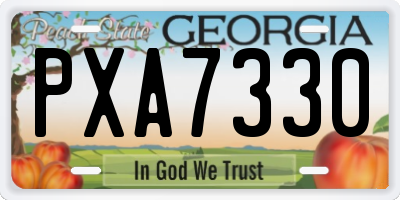 GA license plate PXA7330