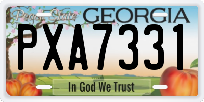 GA license plate PXA7331