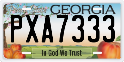 GA license plate PXA7333