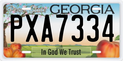 GA license plate PXA7334