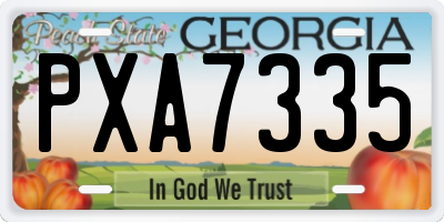 GA license plate PXA7335
