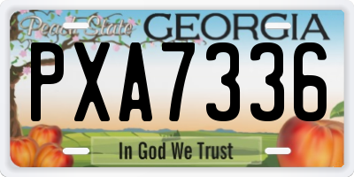 GA license plate PXA7336