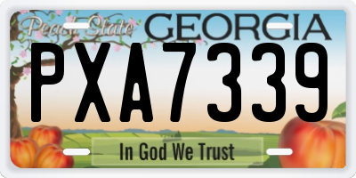 GA license plate PXA7339