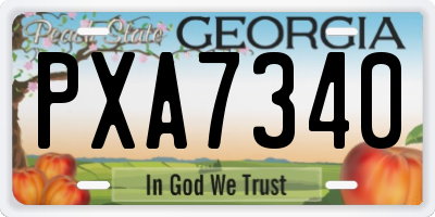 GA license plate PXA7340