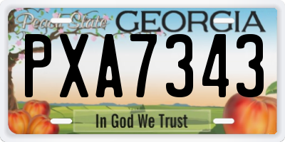 GA license plate PXA7343