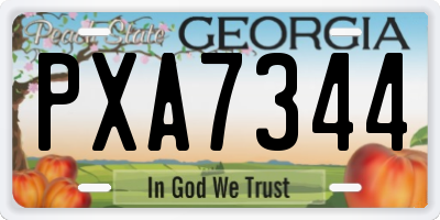 GA license plate PXA7344