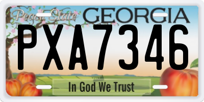 GA license plate PXA7346