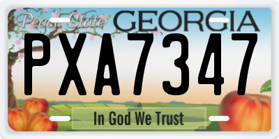 GA license plate PXA7347
