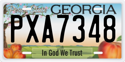 GA license plate PXA7348