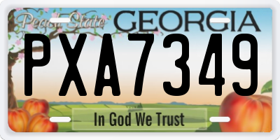 GA license plate PXA7349