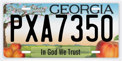 GA license plate PXA7350